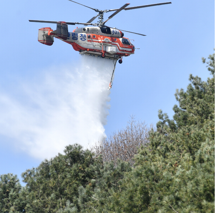 화천읍 중리 산불현장. 화천군 제공
