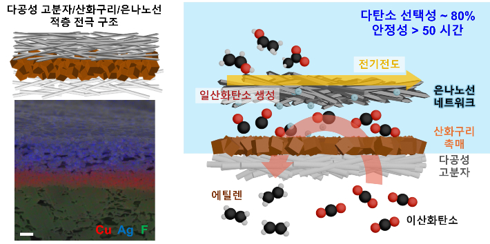 다공성 고분자, 산화구리 촉매, 은 나노선 네트워크 전극 구조 모식도. KAIST 제공