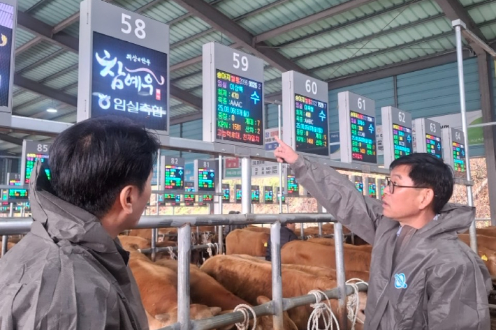 전북도 가축시장 표시제 도입. 전북도 제공