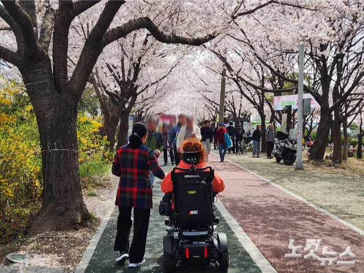 부산 사상구 낙동제방벚꽃길에서 전동휠체어를 이용하는 시민이 산책하고 있다. 정혜린 기자