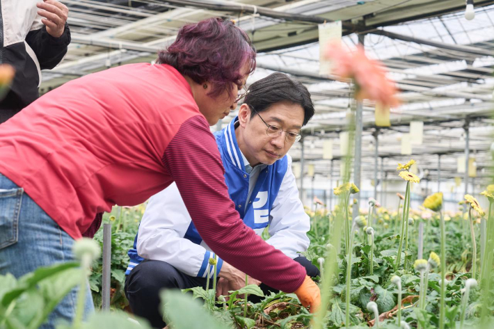 김경수 경남지사 후보 김해 화훼농가 점검. 더불어민주당 경남도당 제공 