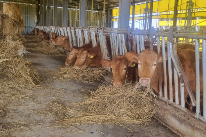 축사. 전라남도 제공