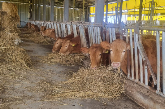 축사. 전라남도 제공