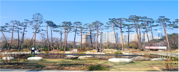 남구 유엔평화의 숲. 부산시 제공