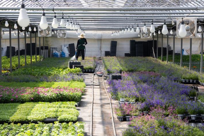 기사와 연관 없음.연합뉴스