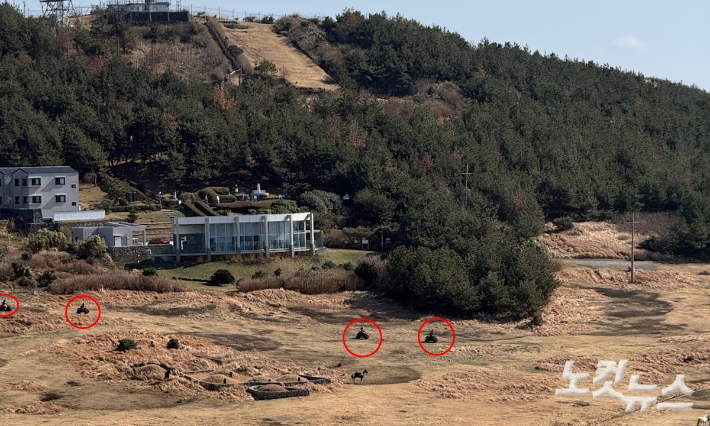 지난달 7일 우도봉 일대에서 ATV가 운행되는 모습. 독자 제공