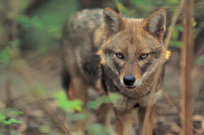 스마트이미지 제공