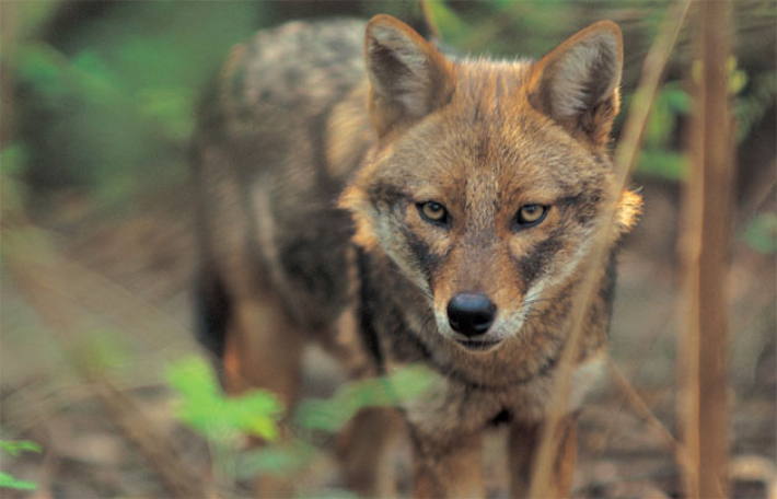 스마트이미지 제공