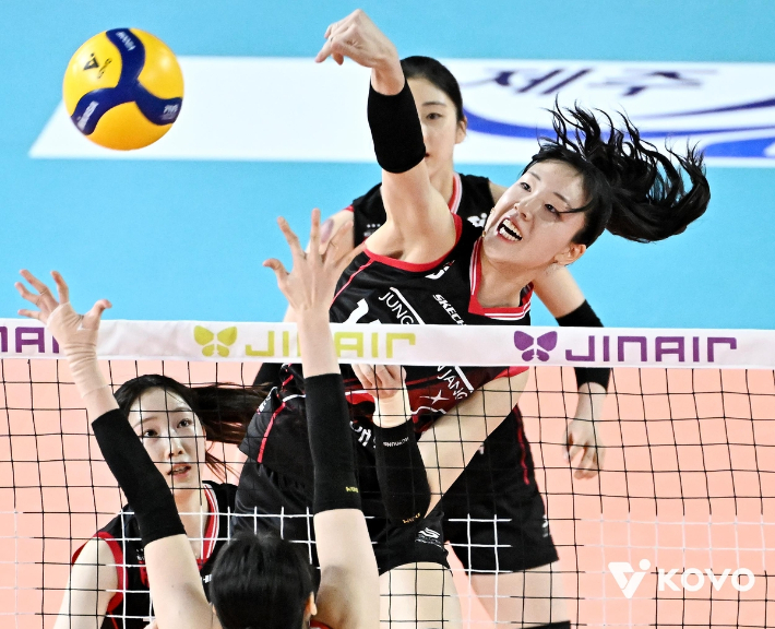 정관장 정호영. 한국배구연맹