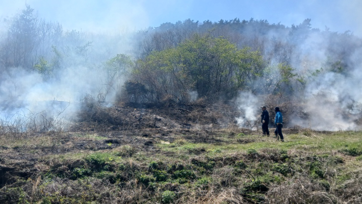 전남소방본부 제공