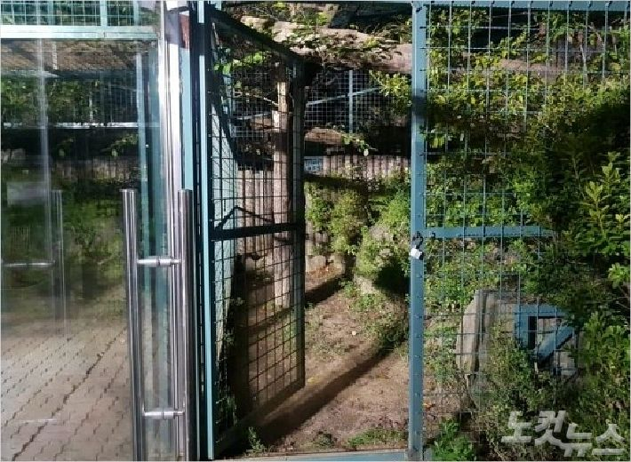 퓨마가 탈출한 사육장. 자료사진