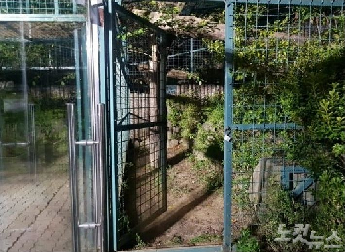 퓨마가 탈출한 사육장