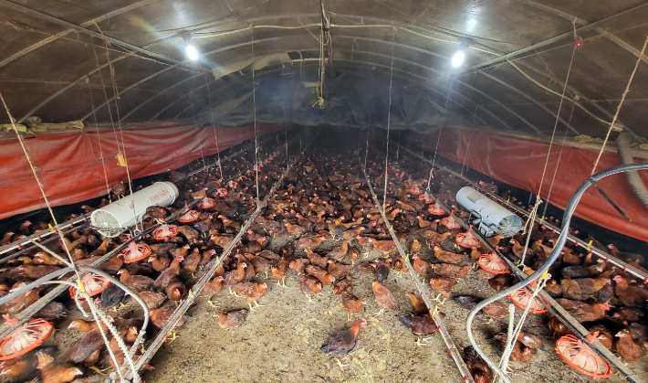 위 사진은 기사와 직접적인 연관 없음. 연합뉴스