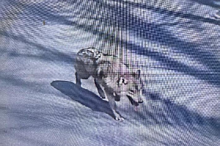 대전소방본부 제공