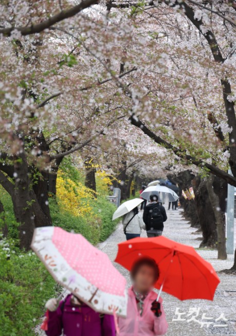 봄비 맞으며 산책