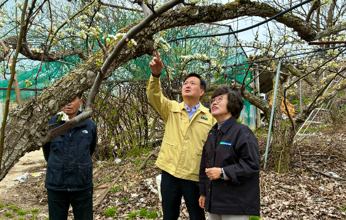 충북농협, 봄철 저온 피해 예방 현장 점검