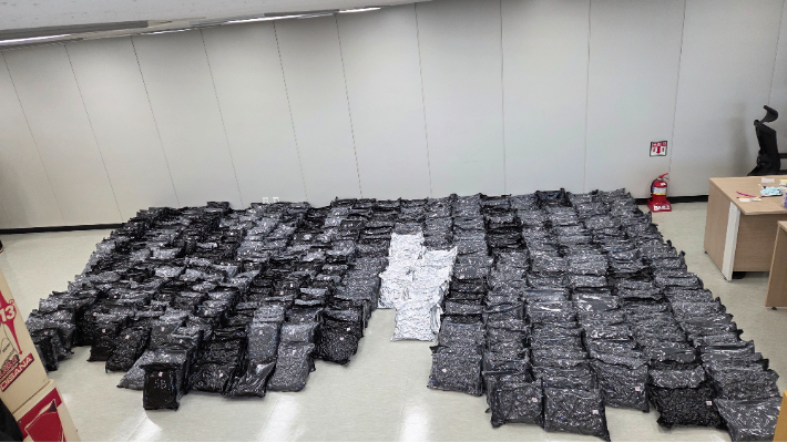 마약범죄 정부합동수사본부가 압수한 대마. 마약범죄 정부합동수사본부 제공