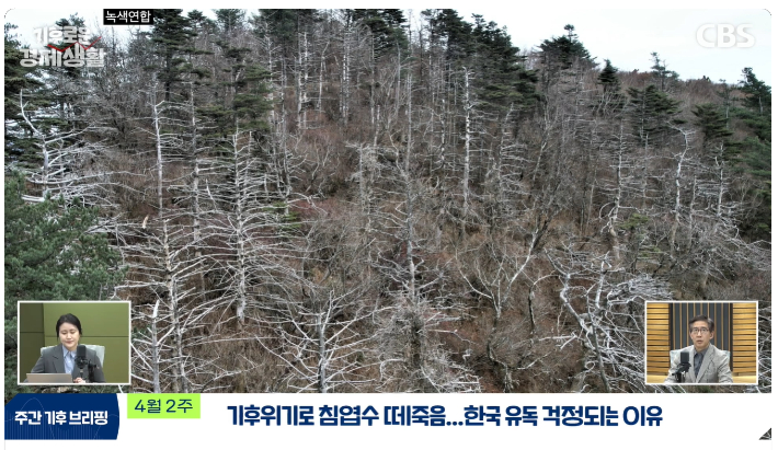 CBS 유튜브 경제연구실 캡처