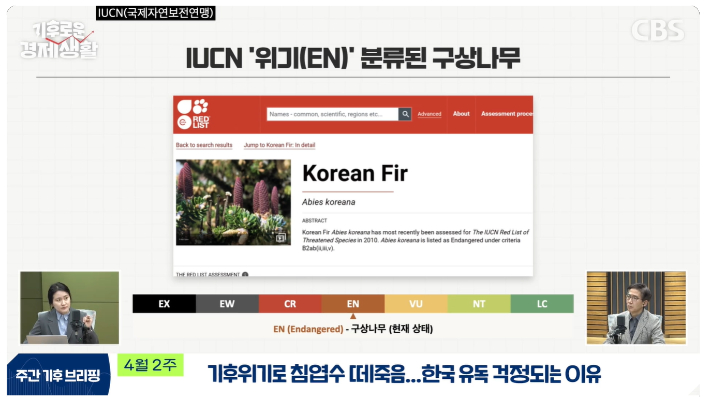 CBS 유튜브 경제연구실 캡처