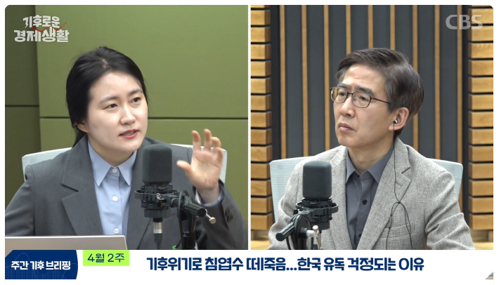 CBS 유튜브 경제연구실 캡처