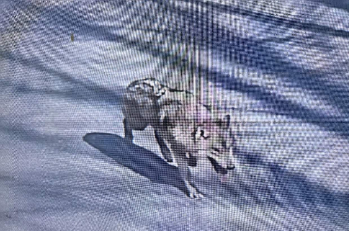 대전소방본부 제공