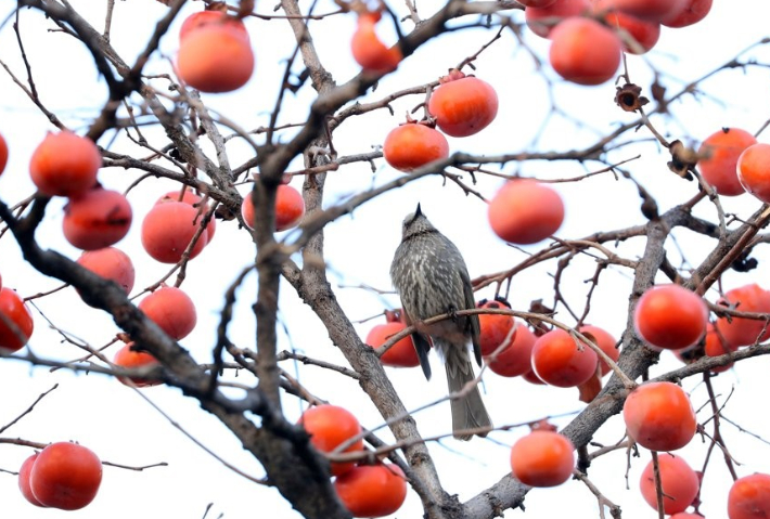 이 사진은 기사와 관련 없음. 연합뉴스