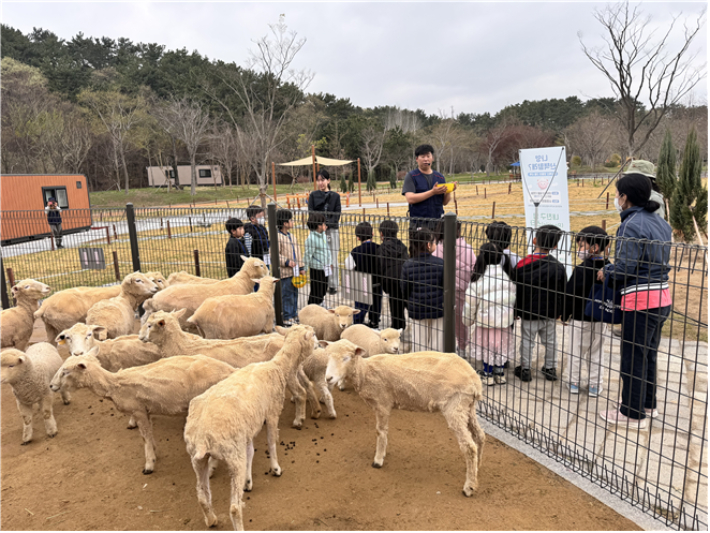 부산시가 산림교육 프로그램을 운영한다. 부산시 제공