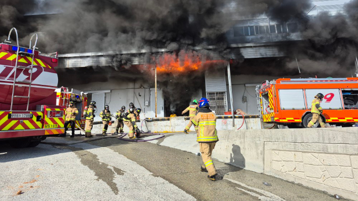 12일 오전 8시 20분쯤 전남 완도군 군외면 한 수산물 가공업체 냉동창고에서 난 불로 내부에 진입하던 소방관 2명이 숨졌다. 사진은 진화와 수색 작업 벌이는 소방 당국. 연합뉴스 