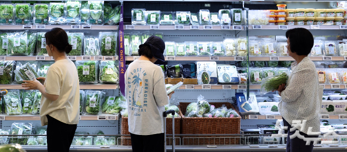 서울시내 한 대형마트를 찾은 시민들의 모습. 황진환 기자