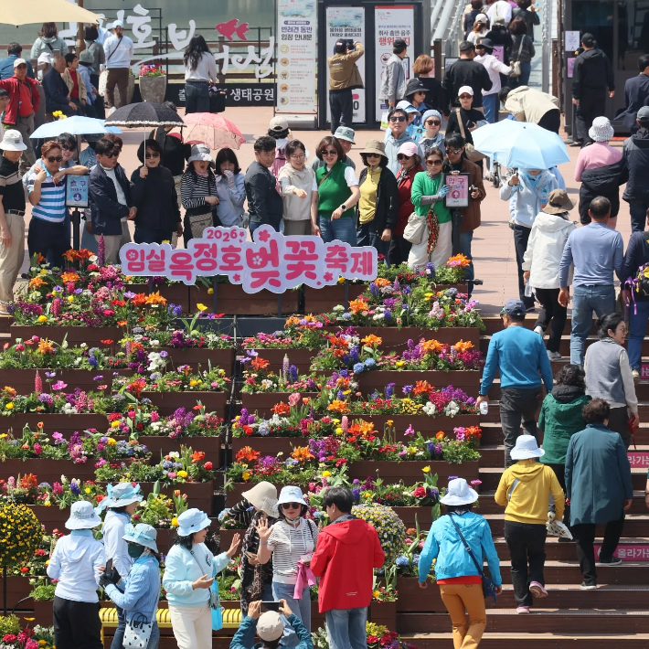 임실군 옥정호 벚꽃축제 관광객 현장. 임실군 제공