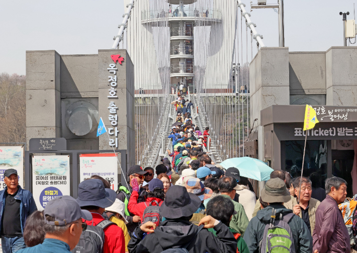 벚꽃축제가 열리는 옥정호 출렁다리 주변. 임실군 제공