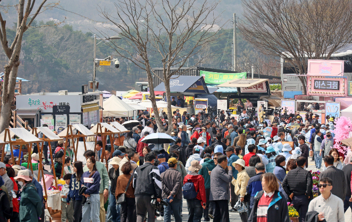 사람 붐비는 임실 벚꽃축제 현장. 임실군 제공
