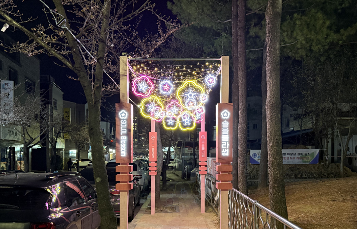 교1동 컬러플 가든 조성. 강릉시 제공