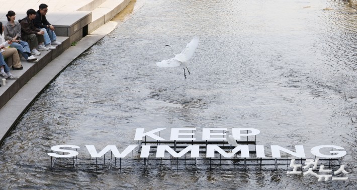 ’왜가리 날다‘