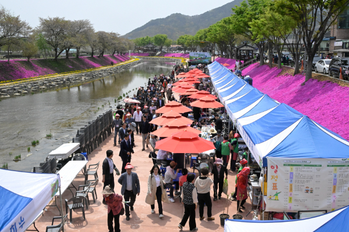 전북 순창군은 봄철 대표 임산물인 참두릅을 주제로 한 '제2회 순창 참두릅 여행'을 오는 17일부터 18일까지 경천 일원에서 개최한다. 순창군 제공
