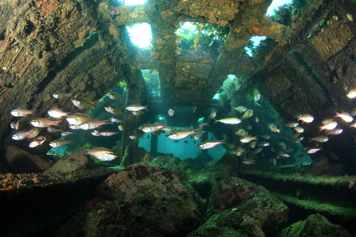 인공어초. 경남도청 제공 