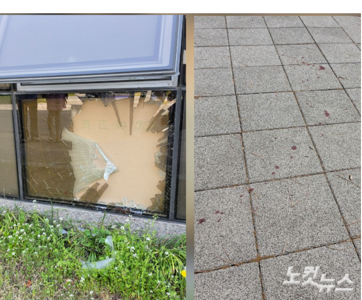 멧돼지가 들이받은 한국국책연구원 1층 하단 유리창. 이곳부터 1km 가량 핏자국이 이어져있다. 박우경 기자 