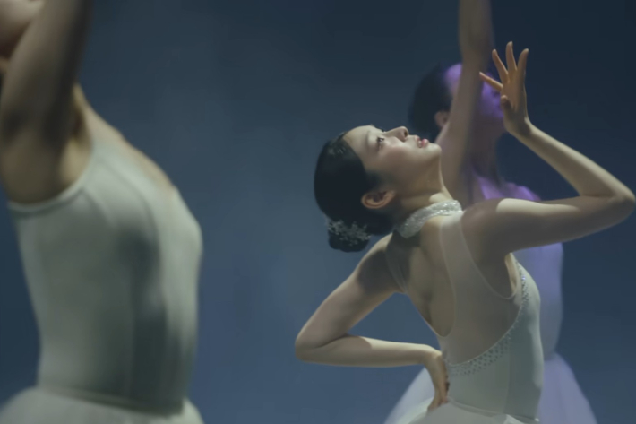 돌고래유괴단 유튜브 영상 캡처