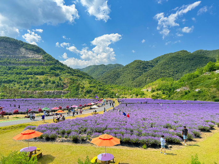 무릉별유천지. 동해시 제공