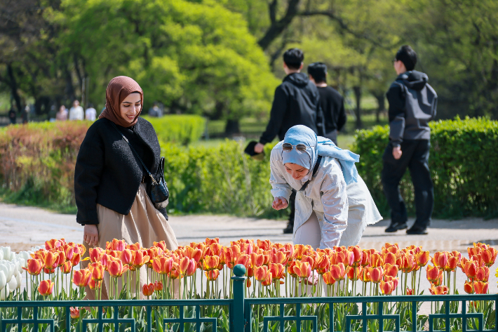 경주 동부사적지에서 외국인 관광객들이 꽃을 감상하며 봄 정취를 만끽하고 있다. 경주시 제공