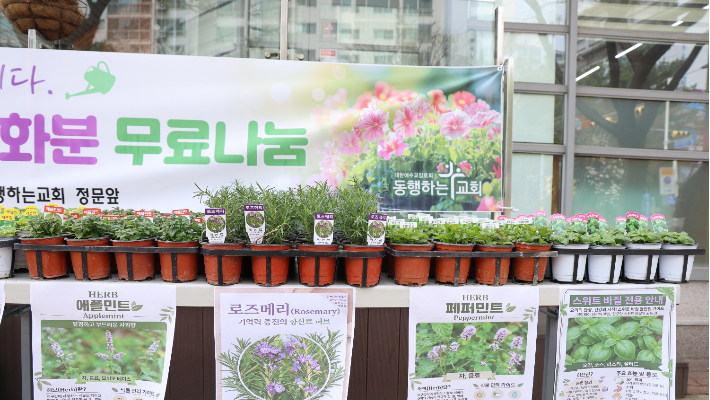 지난 5일 동행하는교회와 NGO더램프가 진행한 친환경 허브 화분 나눔행사. 더램프 제공 