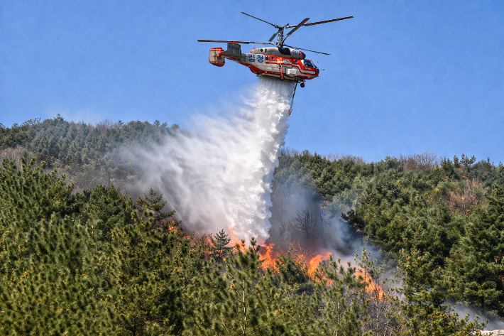 기사와 관련 없음. AI 생성 이미지