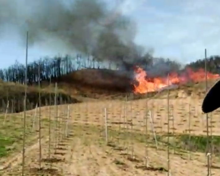 16일 오후 2시 25분쯤 경북 안동시 길안면 백자리의 한 야산 인근 지난해 산불로 쌓아둔 폐목재에서 불이 났다. 경북소방본부 제공