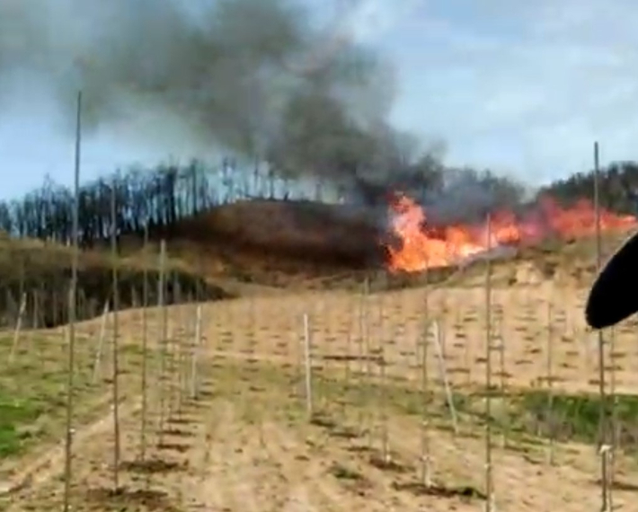 16일 오후 2시 25분쯤 경북 안동시 길안면 백자리의 한 야산 인근 지난해 산불로 쌓아둔 폐목재에서 불이 났다. 경북소방본부 제공