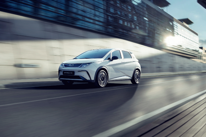 BYD 돌핀. BYD코리아 제공