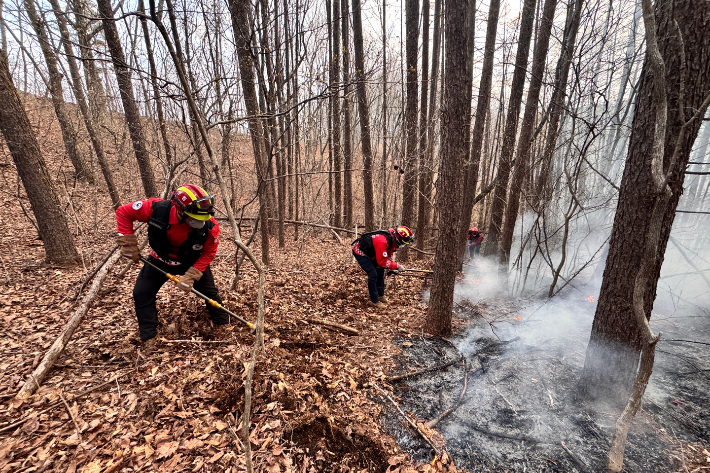 17일 오후 4시 44분쯤 강원 평창군 대관령면 병내리 야산에서 불이 나 1시간 20여분 만에 꺼졌다. 강원도산불방지센터 제공