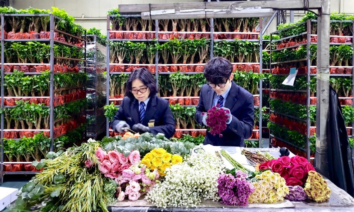 농림축산검역본부 제공
