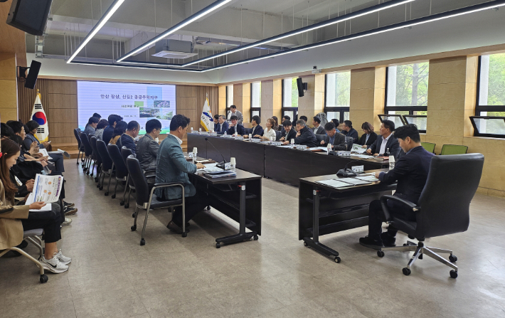 허남석 부시장이 17일 안산시청 제1회의실에서 '3기 신도시 개발방향 및 대응전략 마련 협업TF 킥오프 회의'를 주재하고 있다. 안산시 제공