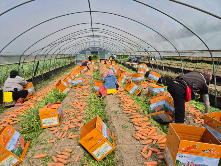 창원시 농업기술센터 제공