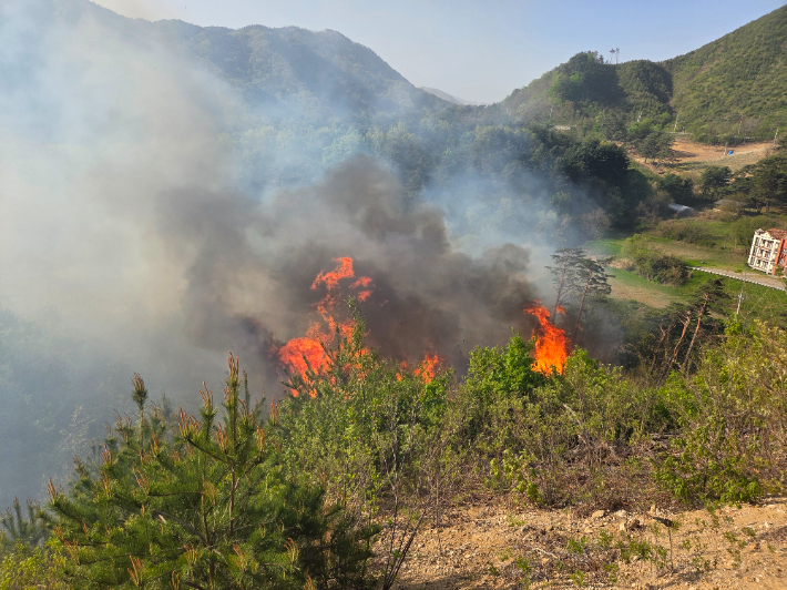 21일 오전 7시 43분쯤 강원 양양군 서면 논화리 인근 야산에 산불이 발생해 출동한 진화 인력에 의해 1시간 20여 분만에 진화됐다. 강원도산불방지대책본부 제공
